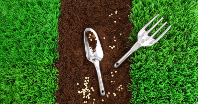 Lawn Seeding & Turf Installation
