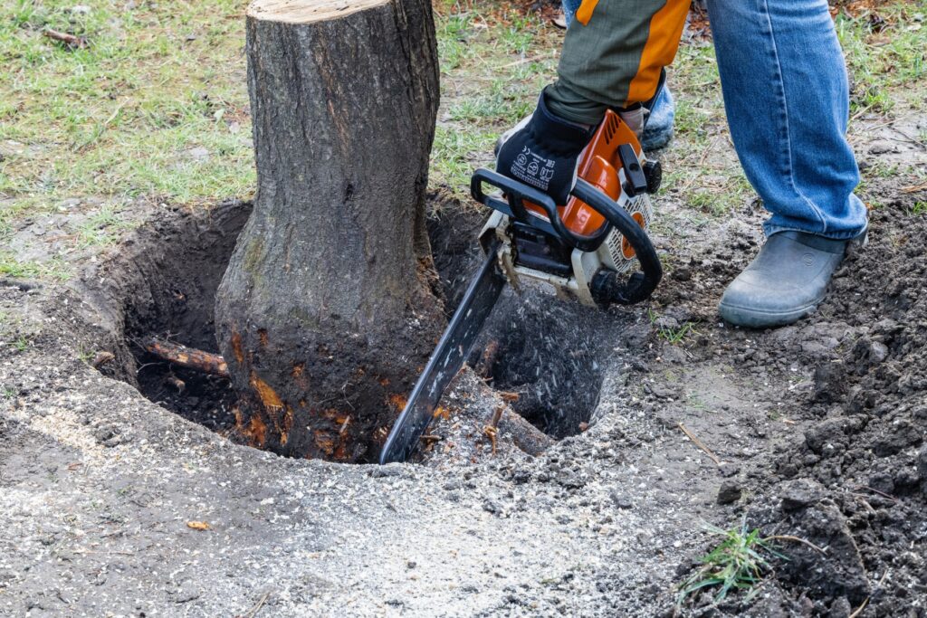 Stump Removal