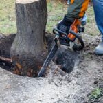Stump Removal