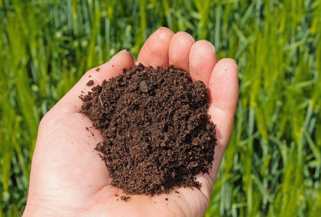Top Soil